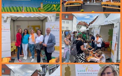 Landesweiter Ehrenamtstag 2025 in Alzey