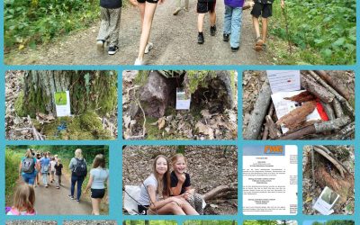 Ferienspieltag mit dem Waldnaturschutz-Zentrum